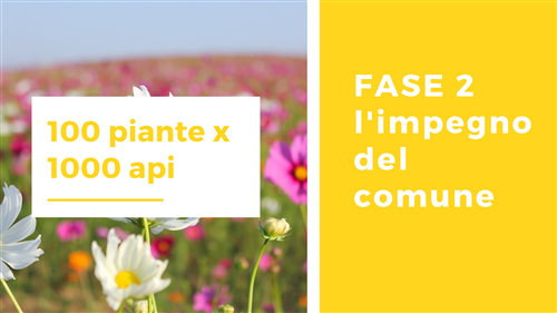 100 piante per 1000 api